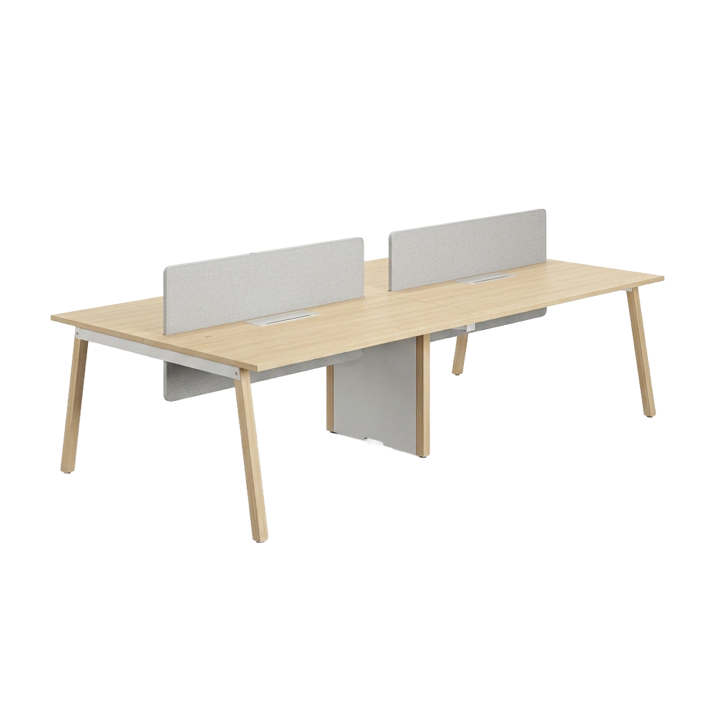 SALIENT WORKSTATION